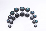 Гантели в уретане LIVEPRO Studio Dumbbells 9 кг, черный/синий