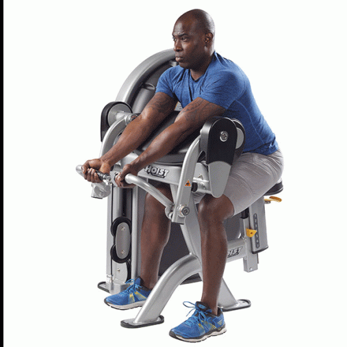 Бицепс сидя HOIST CL-3102 серебристый/черный Бицепс сидя HOIST CL-3102 серебристый/черный