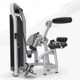 MATRIX Aura G3-S52 Разгибание спины MATRIX Aura G3-S52 Разгибание спины