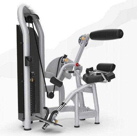 Тренажер грузоблочный Разгибание спины MATRIX Aura G3-S52 Тренажер грузоблочный Разгибание спины MATRIX Aura G3-S52