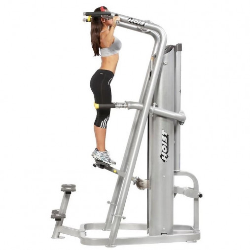 Турник пресс брусья Hoist ROC-IT RS-1700 Platinum (гравитрон) подтягивание, отжимание с помощью (цвет рамы: серебристый) Турник пресс брусья Hoist ROC-IT RS-1700 Platinum (гравитрон) подтягивание, отжимание с помощью (цвет рамы: серебристый)