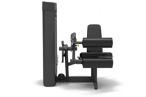 Сгибание ног сидя SPIRIT SP-4306