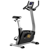 Hasttings Wega S300 Велотренажер вертикальный Hasttings Wega S300 Велотренажер вертикальный