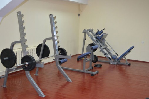 Жим ногами под углом 45°/ Гакк-машина AeroFit IF IFLPHS