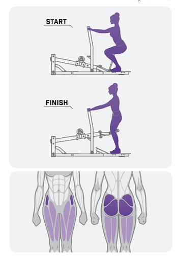 Тренажер приседание с поясом серии Peach Builder PB312 на свободных весах